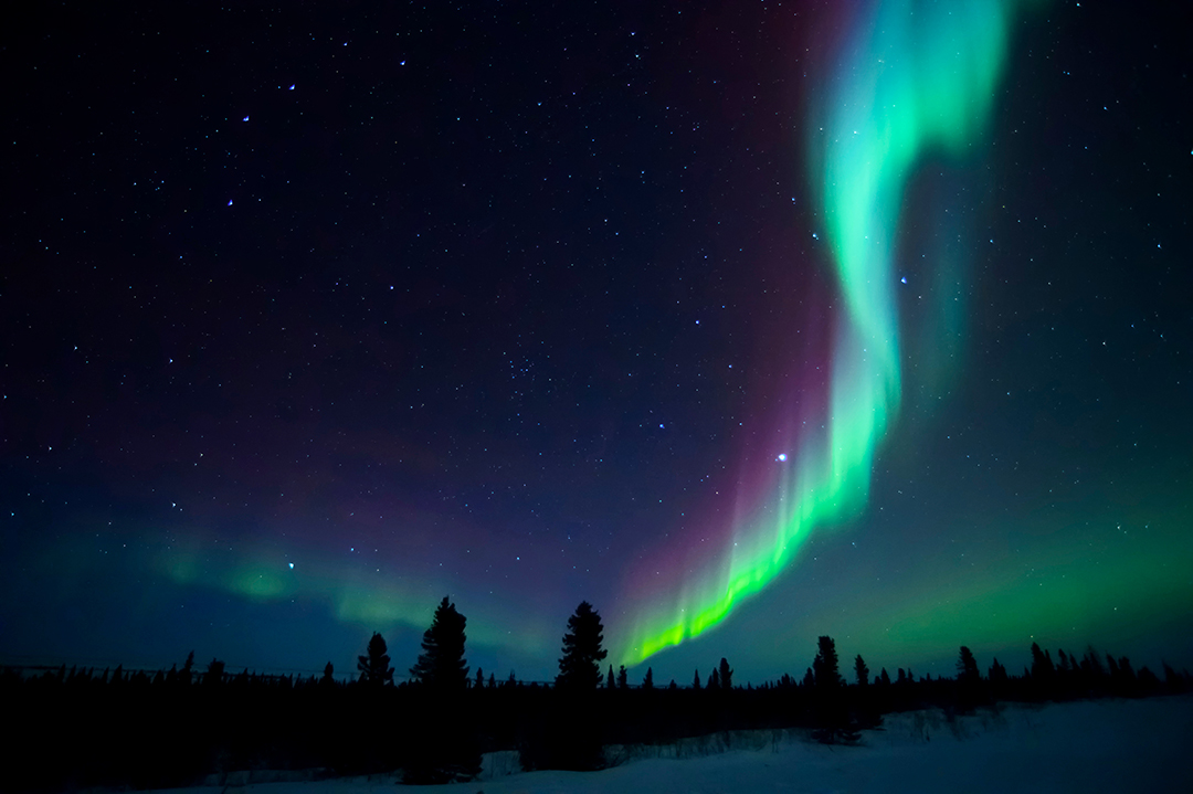 Nightsky lit up with aurora borealis in Manitoba, Canada
